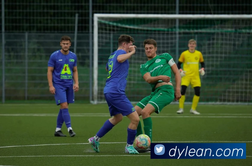 APP界面展示